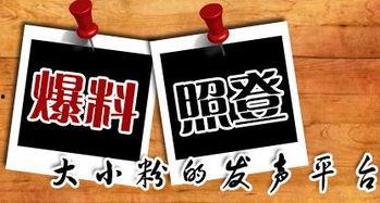 爆料新闻官方爆料平台,揭秘事件真相