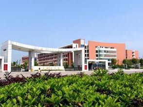 湖南城市学院爆料视频,揭秘校园内幕，真相令人震惊！  第1张